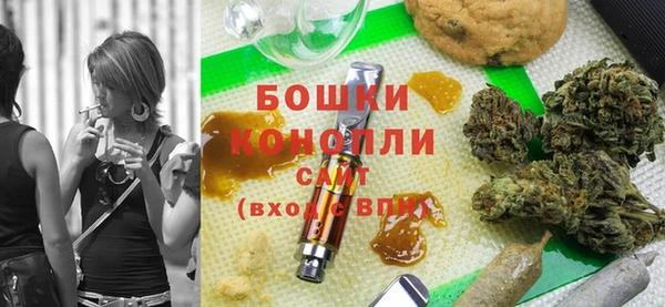 бошки Снежногорск