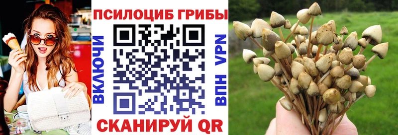 Галлюциногенные грибы Psilocybine cubensis Армянск