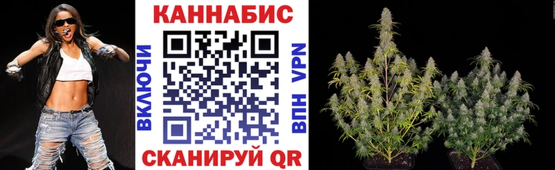 Конопля гибрид Армянск